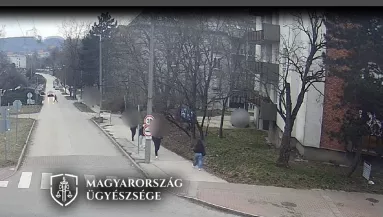 Odaugrott a 20 éves srác a 76 éves nénihez Tatabányán: borzalom, amit ezután tett