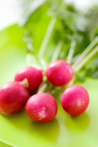 anyagcsere, zöldség, egészség, táplálkozás, 