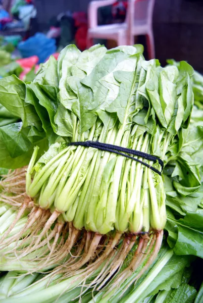 anyagcsere, zöldség, egészség, táplálkozás, 