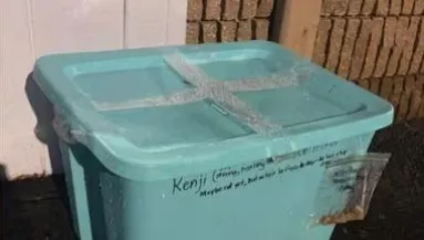 Furcsa üzenet volt a lezárt műanyag dobozon az állatorvos előtt: sokk, mi volt benne