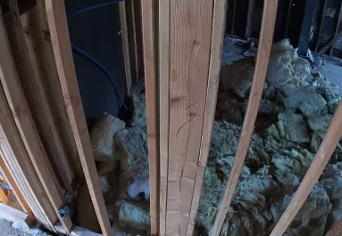 Megnézik a biztonsági kamerát a ház új tulajdonosai és rájönnek, hogy nincsenek egyedül