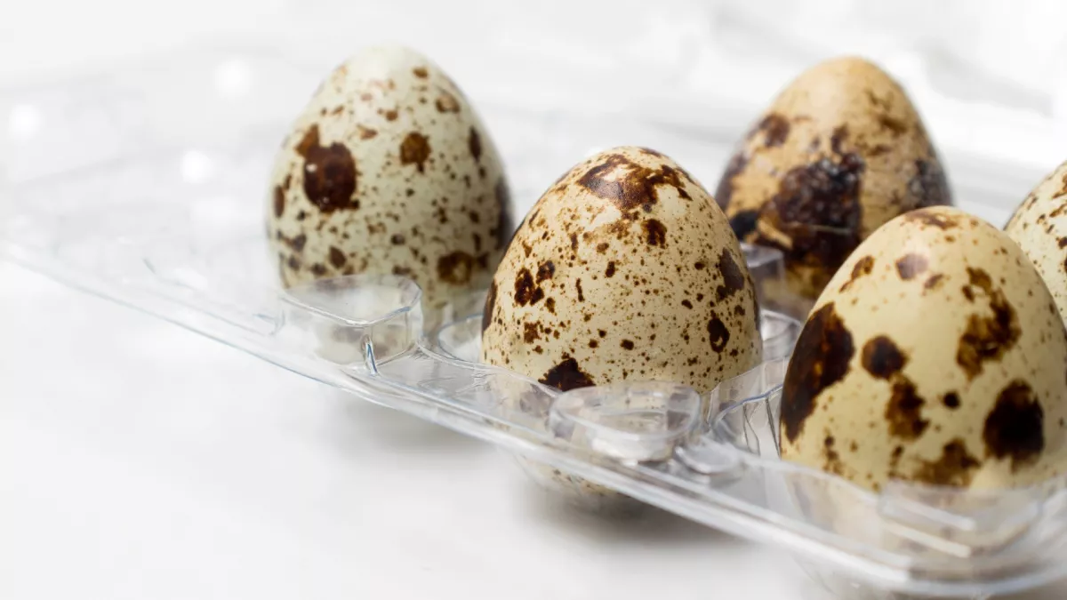 5 ok, amiért kerülni kell a fürjtojást