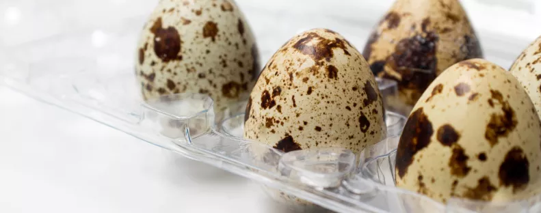 5 ok, amiért kerülni kell a fürjtojást