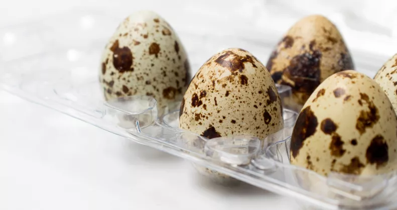 5 ok, amiért kerülni kell a fürjtojást