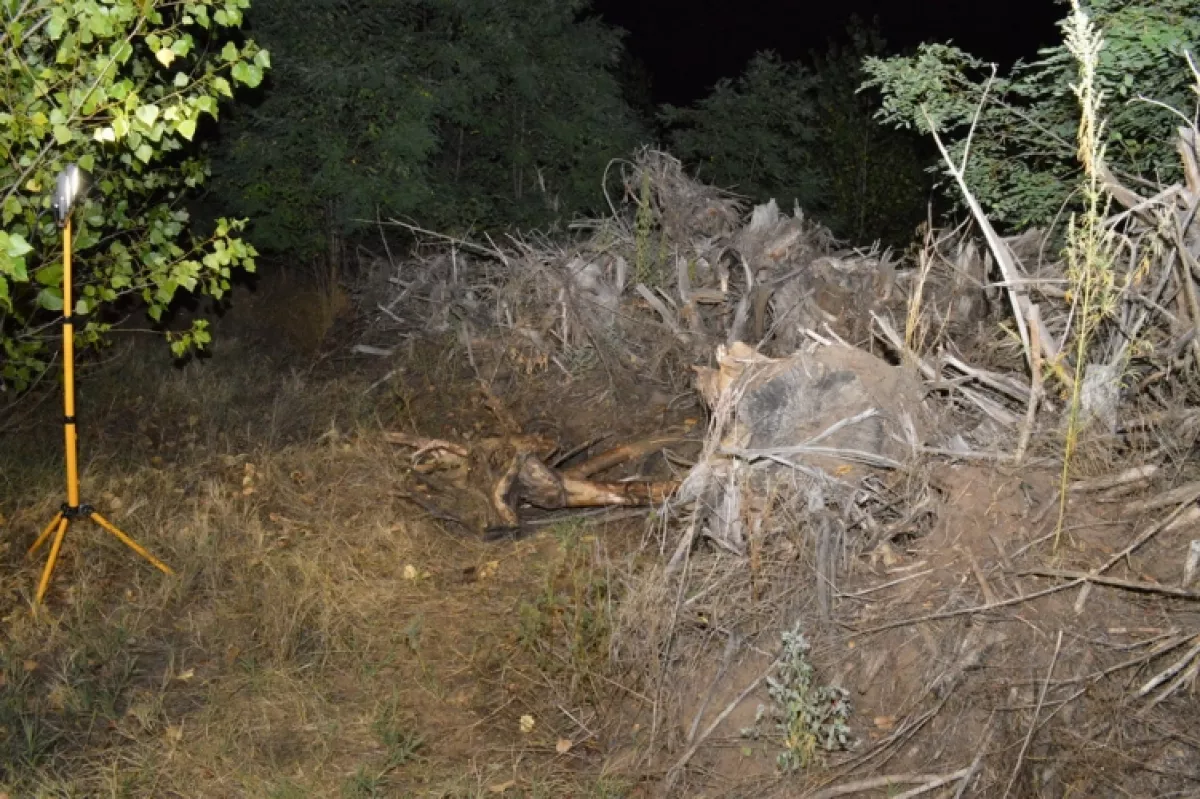 Azt hitték, Romániába utazott a tiszakécskei férfi: ami ezután kiderült, az borzalom