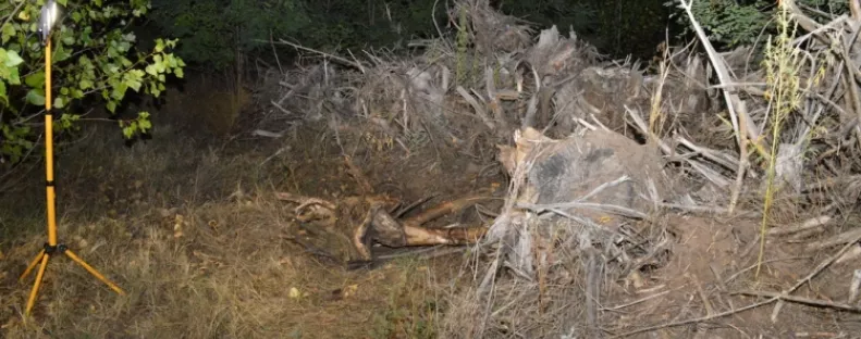 Azt hitték, Romániába utazott a tiszakécskei férfi: ami ezután kiderült, az borzalom