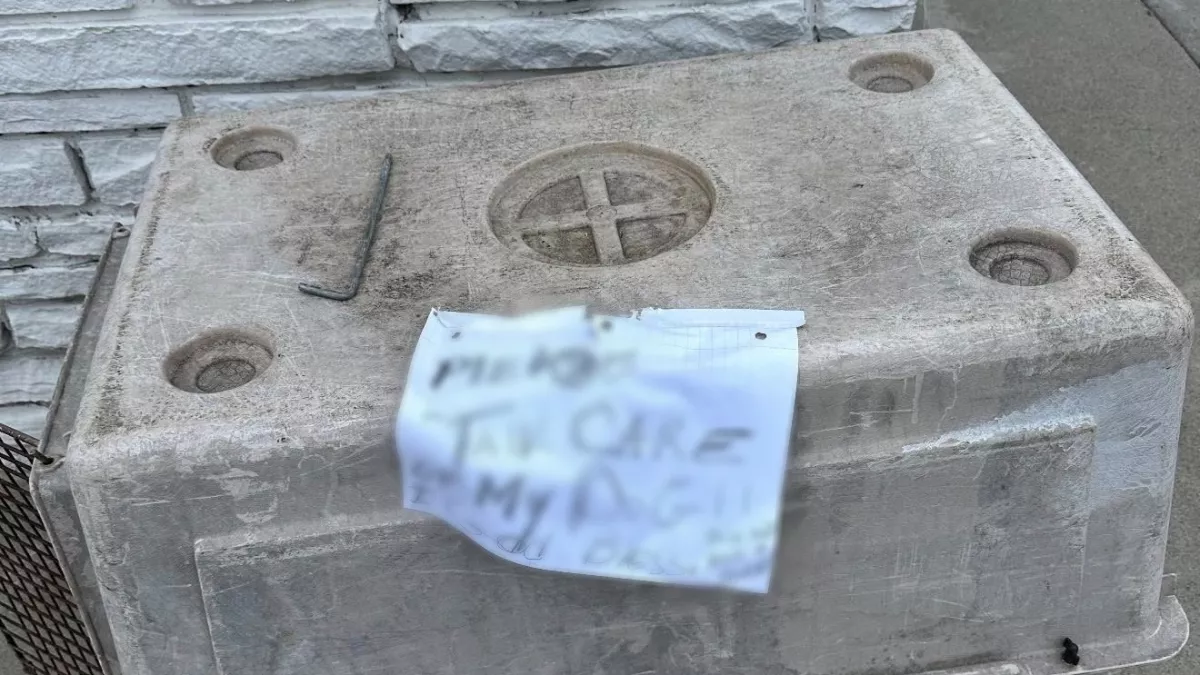 Cetlit talál a kitett kutya mellett az állatmentő: ami rajta áll, szívekig hatol