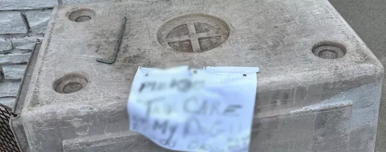 Cetlit talál a kitett kutya mellett az állatmentő: ami rajta áll, szívekig hatol