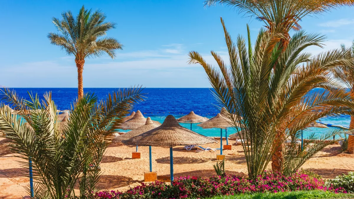 Nyaralni mentek a szülők - öt kiskorú gyermeküket hagyták magukra