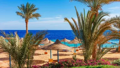 Nyaralni mentek a szülők - öt kiskorú gyermeküket hagyták magukra