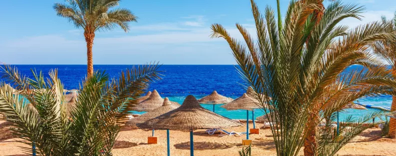 Nyaralni mentek a szülők - öt kiskorú gyermeküket hagyták magukra