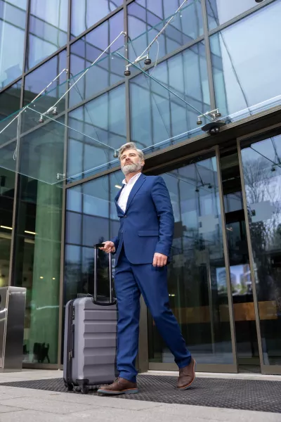 bőrönd, szín, szakértő, utazás, 