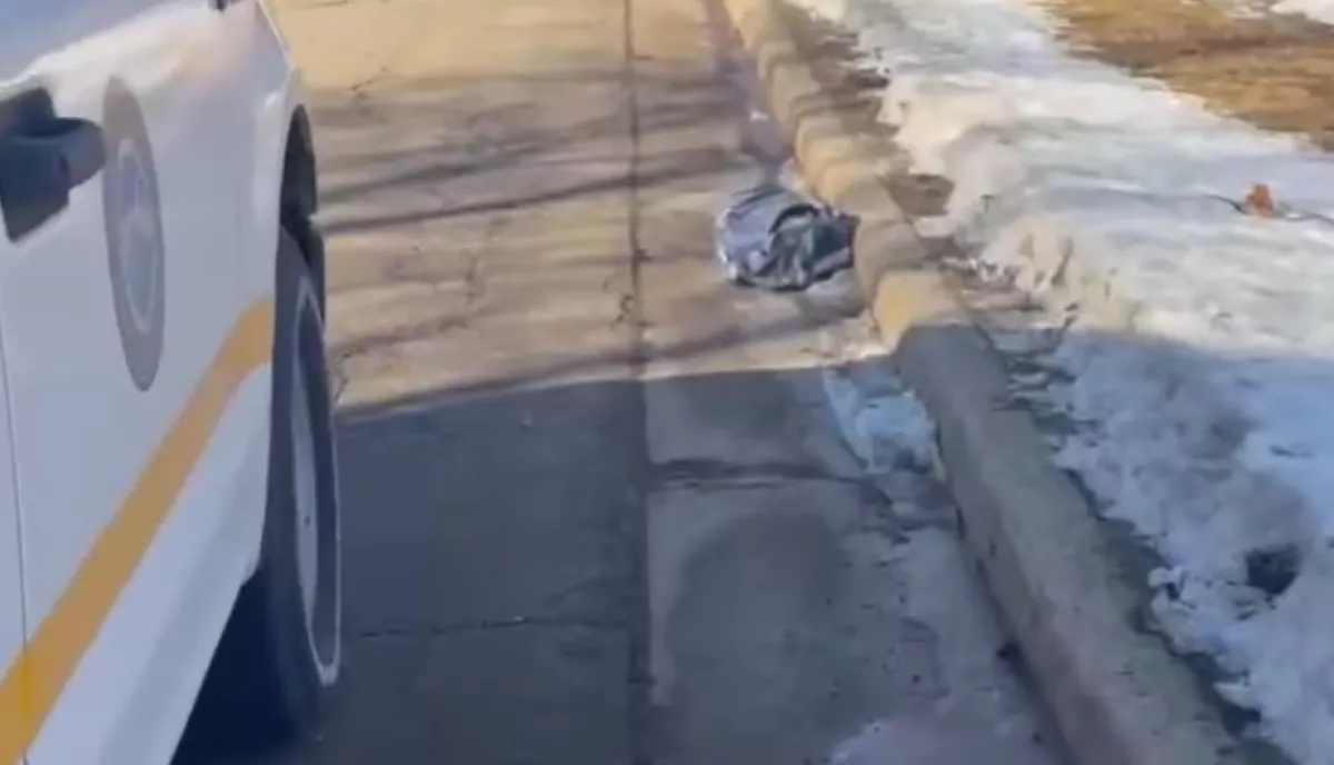 Táskát találtak a rendőrök az út szélén: megszakadt a szívük, amikor belenéztek