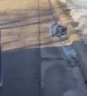 Táskát találtak a rendőrök az út szélén: megszakadt a szívük, amikor belenéztek