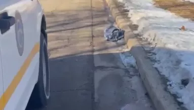 Táskát találtak a rendőrök az út szélén: megszakadt a szívük, amikor belenéztek