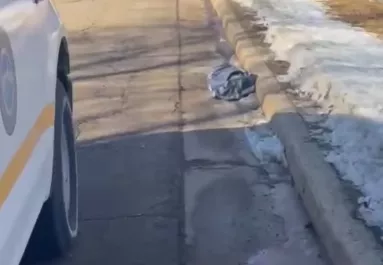 Táskát találtak a rendőrök az út szélén: megszakadt a szívük, amikor belenéztek