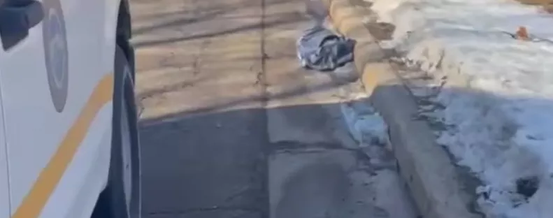 Táskát találtak a rendőrök az út szélén: megszakadt a szívük, amikor belenéztek