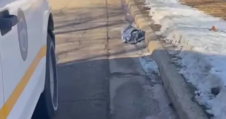 Táskát találtak a rendőrök az út szélén: megszakadt a szívük, amikor belenéztek