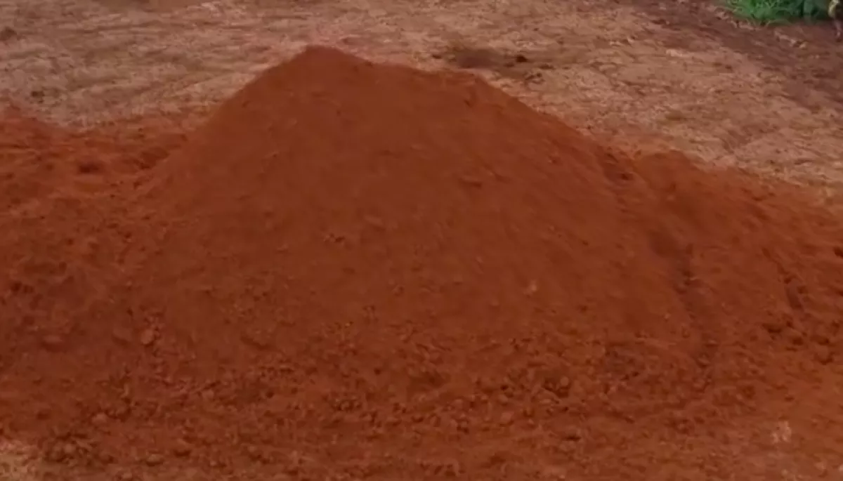 Különös földkupacot fedez fel a gazda a szántóföldjén: Ahogy közelebb megy, minden világossá válik