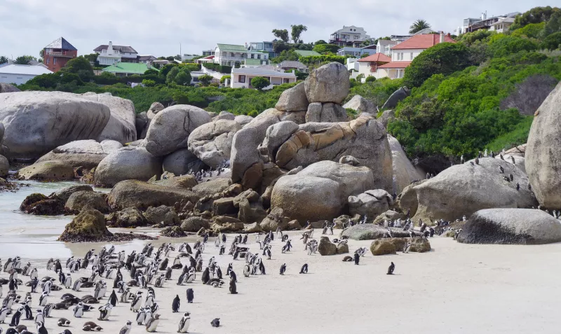 strand, utazás, lista, 