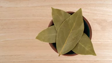 Hihetetlen, mire jó: ezért tegyél egy babérlevelet a pénztárcádba