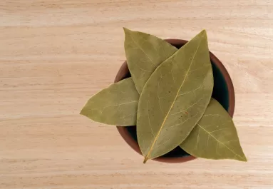 Hihetetlen, mire jó: ezért tegyél egy babérlevelet a pénztárcádba