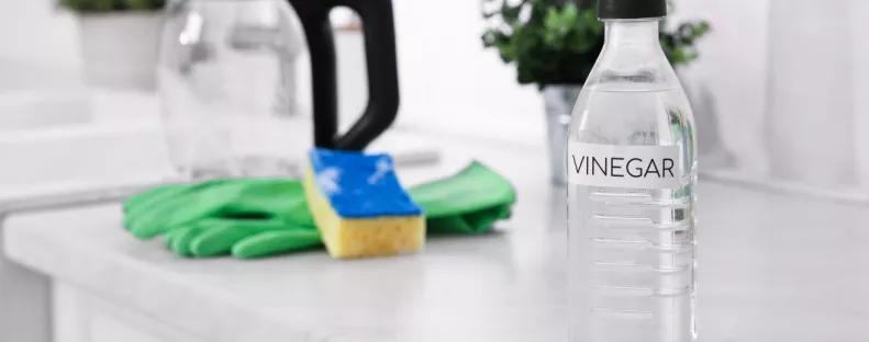 Ezt a 3 dolgot soha ne tisztítsd ecettel: többet árthatsz vele, mint gondolnád