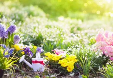 Ezt a növényt ültesd a ház közelébe: természetes pajzsként védi a kertet a kártevőktől