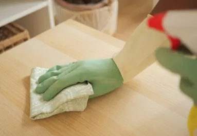 A takarítók esküsznek rá: ezzel a módszerrel napokig nem porosodik a bútor