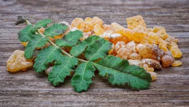 Nem a kurkuma az: ez a ritka növény a világ legerősebb gyulladáscsökkentője