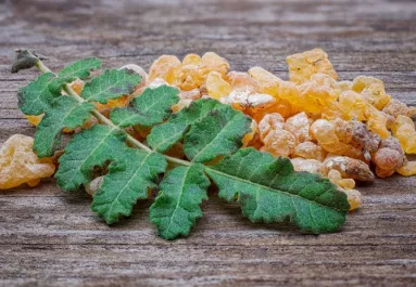 Nem a kurkuma az: ez a ritka növény a világ legerősebb gyulladáscsökkentője