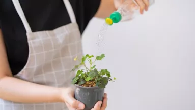 Ha ezt a folyadékot a növényekhez öntöd, erősebbek és ellenállóbbak lesznek a virágaid