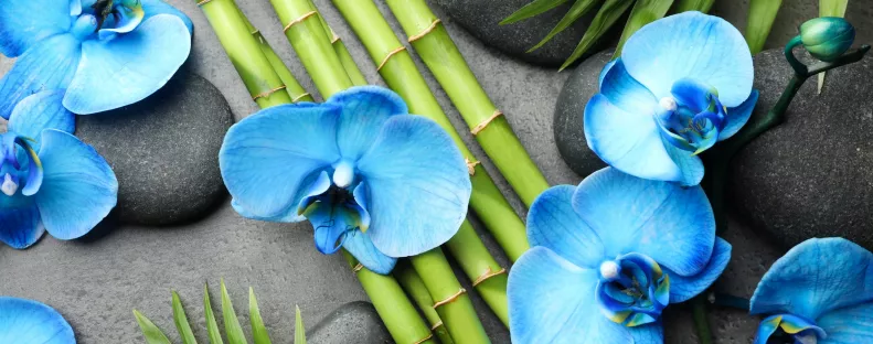 A kék szín titkos ereje a lakásban – a feng shui szerint sokkal többet befolyásol, mint gondolnád