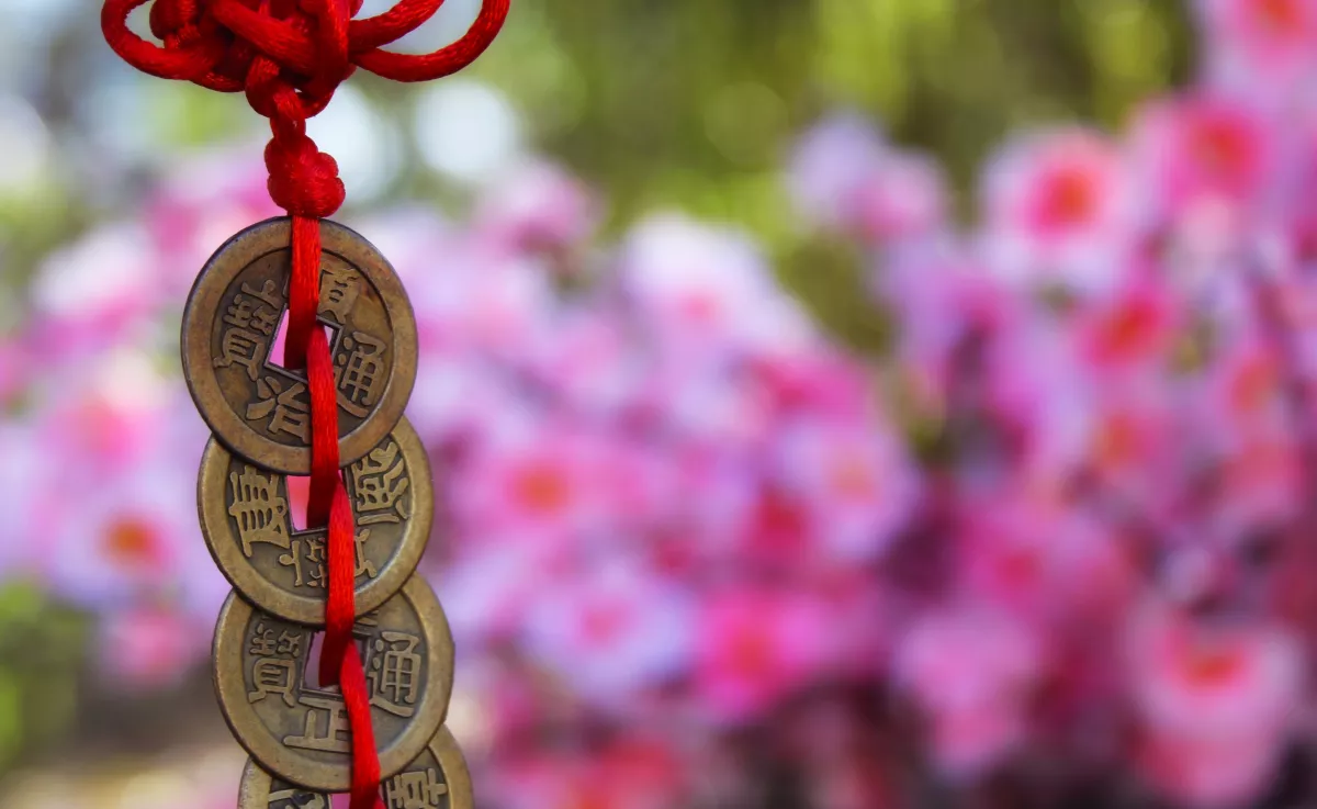 A feng shui szakértő elárulta: Ha ezt tartod a pénztárcádban, megnyílhat előtted a gazdagság kapuja