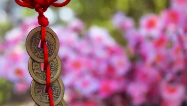 A feng shui szakértő elárulta: Ha ezt tartod a pénztárcádban, megnyílhat előtted a gazdagság kapuja