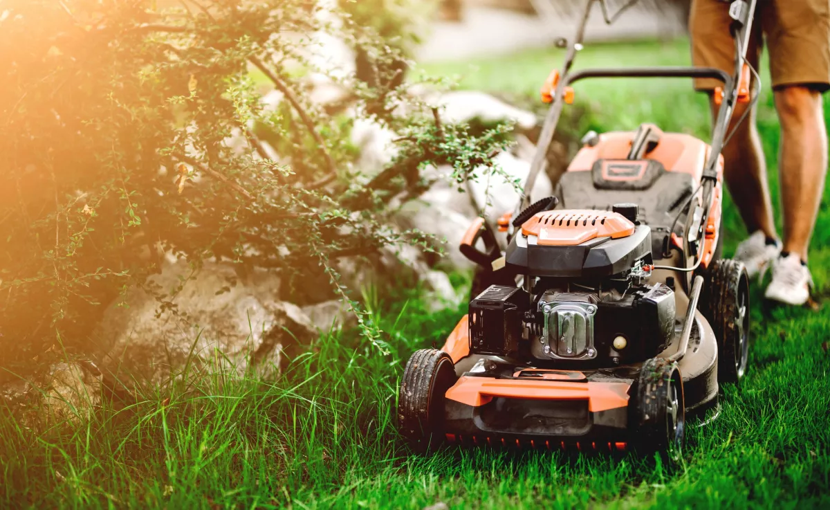 Kertész figyelmeztet: eddig a dátumig tilos füvet nyírni