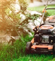 Kertész figyelmeztet: eddig a dátumig tilos füvet nyírni