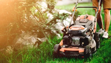 Kertész figyelmeztet: eddig a dátumig tilos füvet nyírni