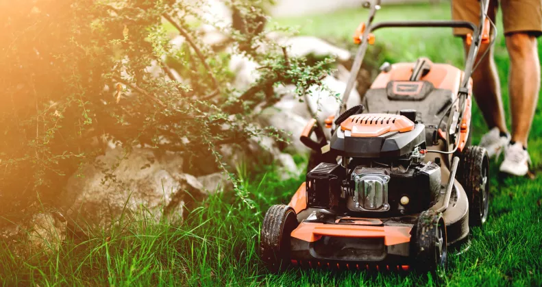 Kertész figyelmeztet: eddig a dátumig tilos füvet nyírni