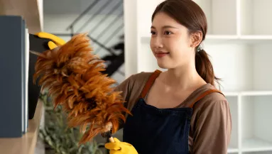 Ezért nem kell folyton port törölgetniük a japán háziasszonyoknak