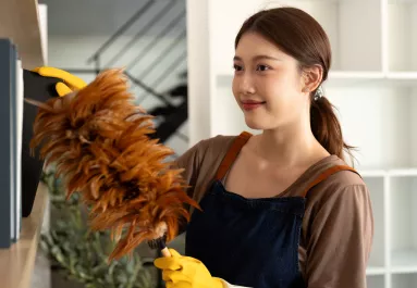 Ezért nem kell folyton port törölgetniük a japán háziasszonyoknak