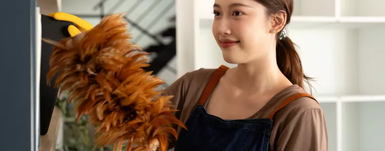 Ezért nem kell folyton port törölgetniük a japán háziasszonyoknak