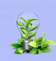 Ez a növény elűz minden rontást a lakásból: véd az ártó energiáktól