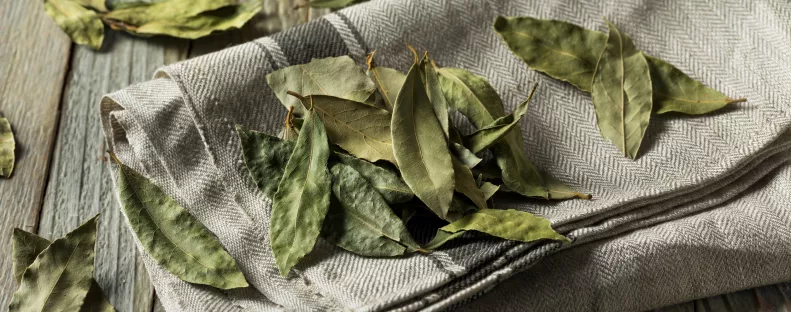 Ezért tesznek egyre többen babérlevelet a szőnyeg alá – a hatás meglepő