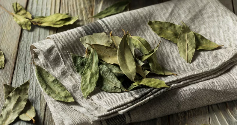 Ezért tesznek egyre többen babérlevelet a szőnyeg alá – a hatás meglepő