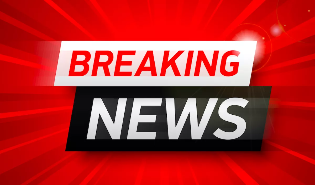 Gyilkosság miatt nyomoznak: emberi testrészeket találtak az autópályán az éjjel