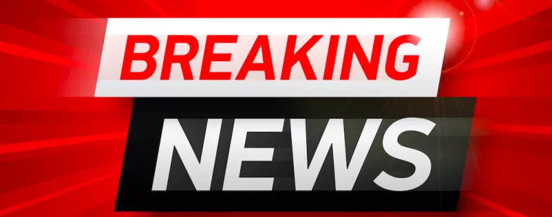 Gyilkosság miatt nyomoznak: emberi testrészeket találtak az autópályán az éjjel