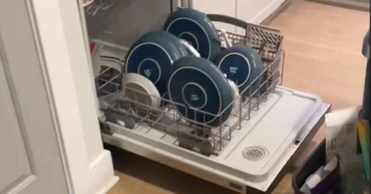 The woman heard a noise in the kitchen: What she found in the dishwasher was shocking